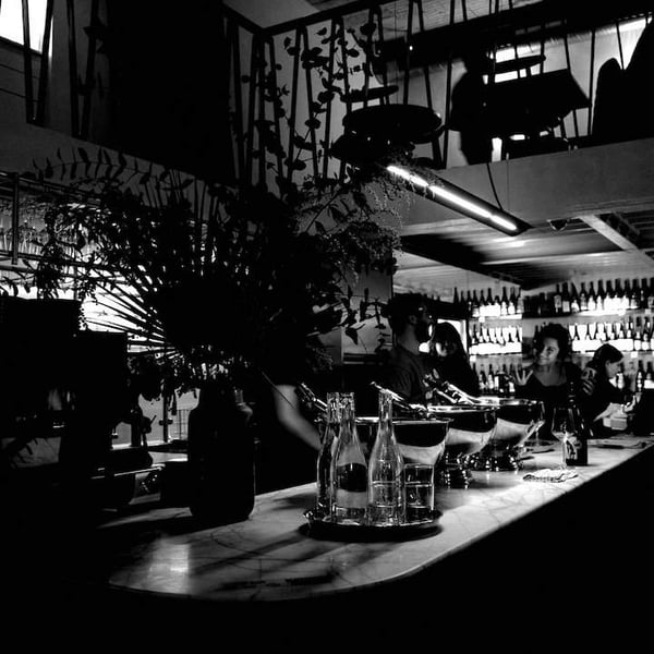 Bar Rascal 474489