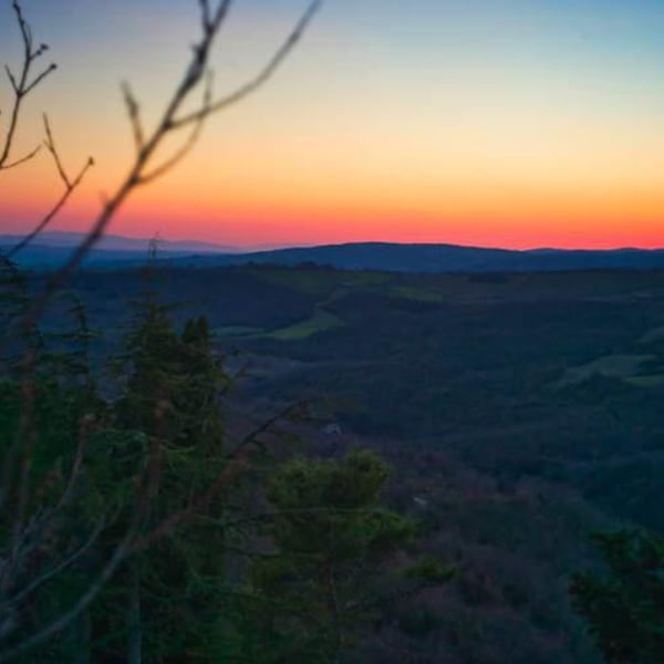 Trattoria Cacciaconti 563576