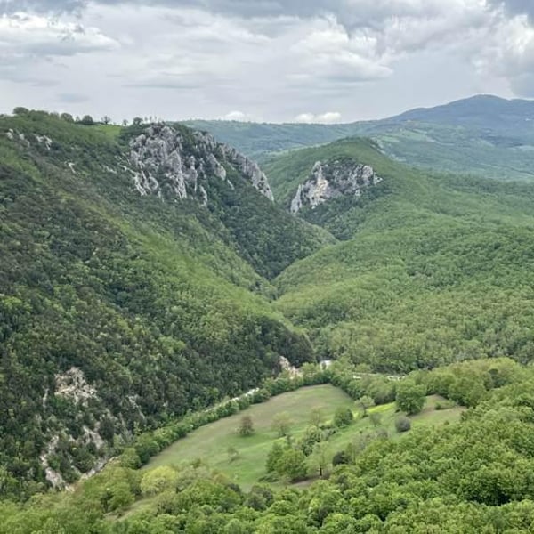 Trattoria Cacciaconti 563897