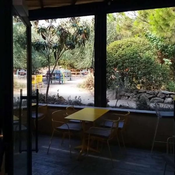 Picamandil 791374