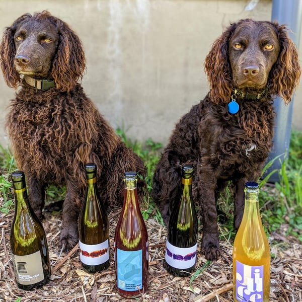 Frankie & Mo’s Wine Shop & Bar 641748