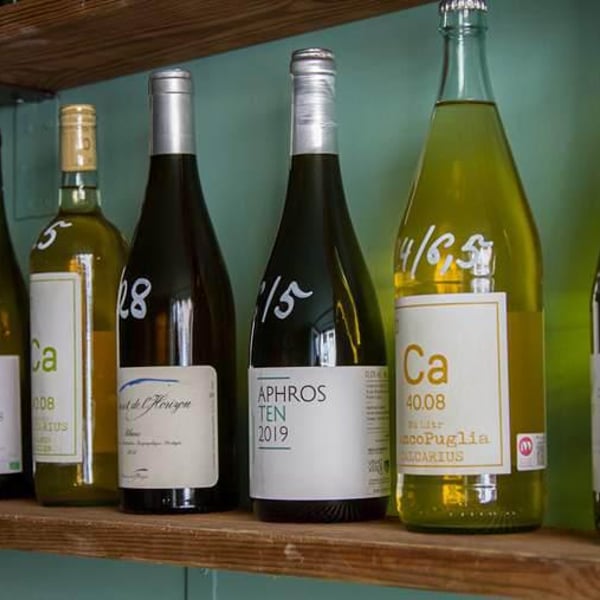 Holy Wine 297814