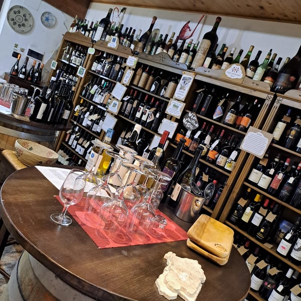 Vineria enorosei 639192