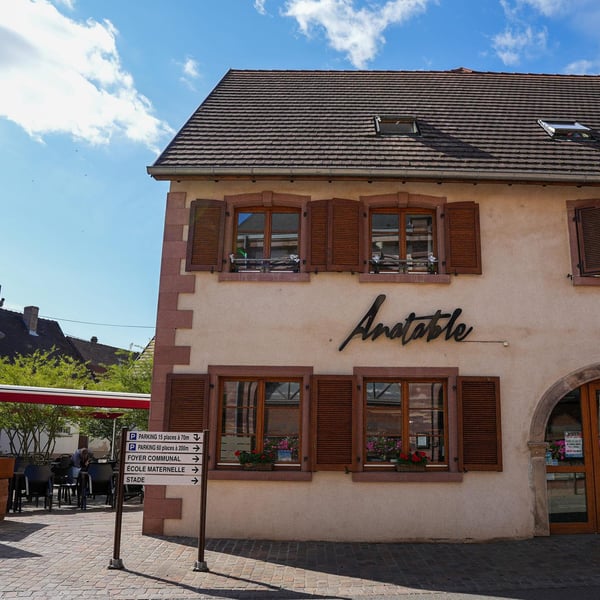 Anatable 779877
