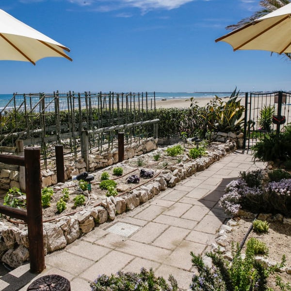Don Diego Ristorante 661717