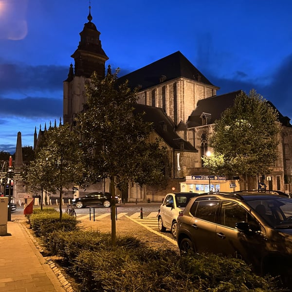 Les Brigittines 727033