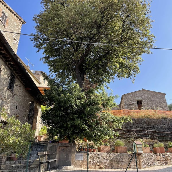 Osteria del Posto 636405