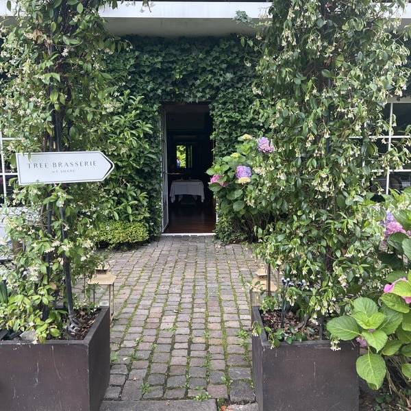 Tree Brasserie 785347