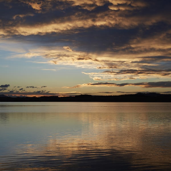 Weyringer Wallersee 744047
