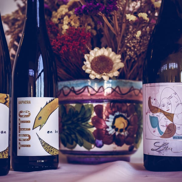 Bioristoro La Ginestra 698556