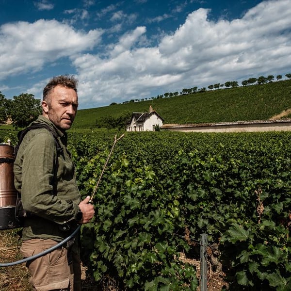 Caveau Domaine du Nozay 759614
