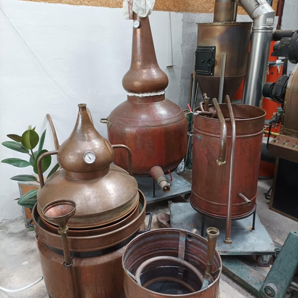 Distillerie Dorr 778691