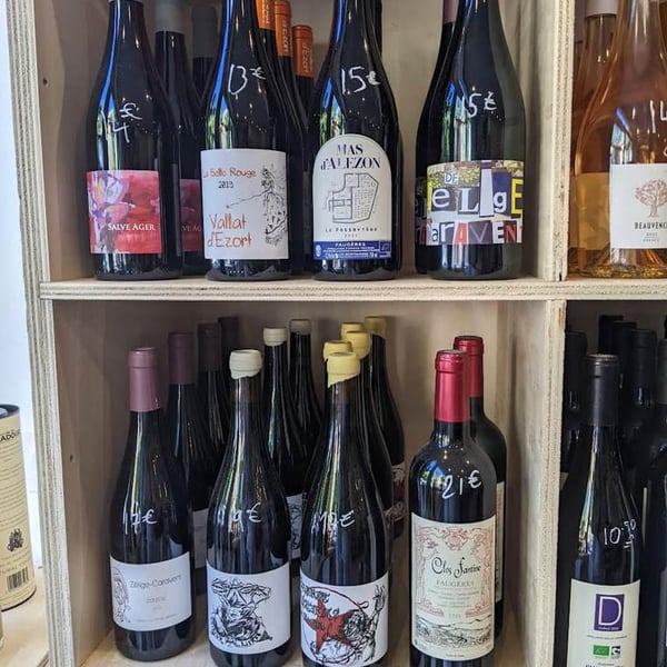 Gastonvino 504181