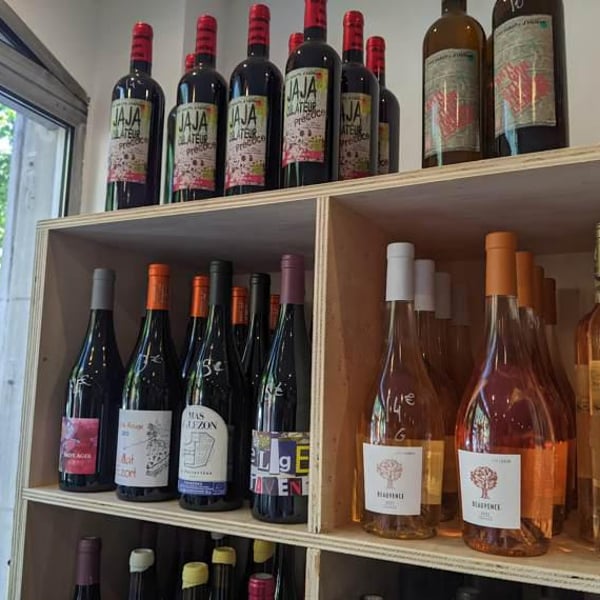 Gastonvino 504182