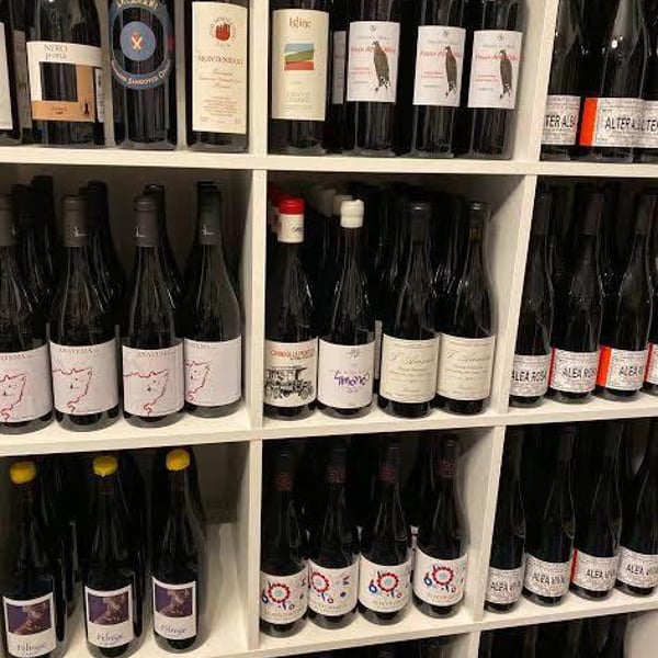 Molly’s Bottle Shop 206142