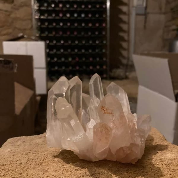 Natural Wine Guru 522687
