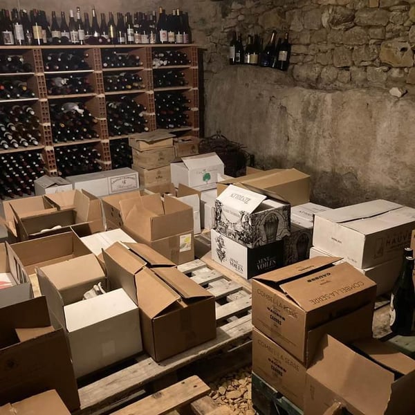 Natural Wine Guru 522688