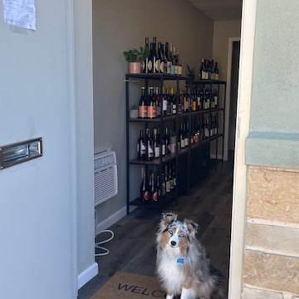 US Natural Wine 445244