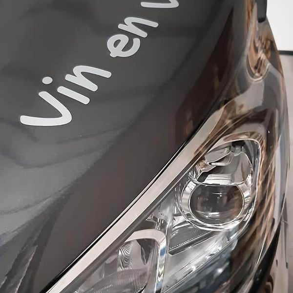 Vin en Vie 427805