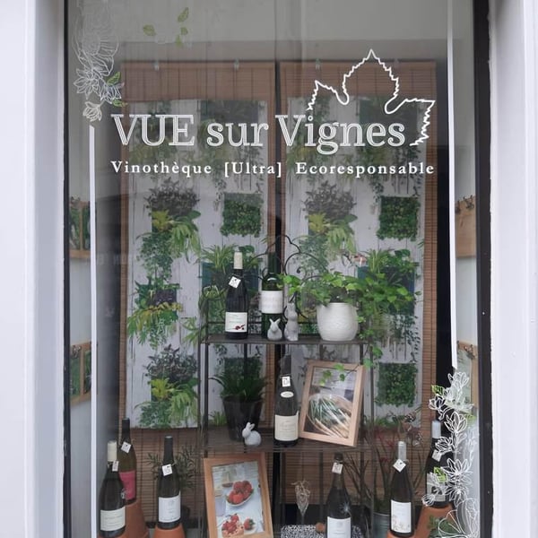 Vue sur Vignes 536993
