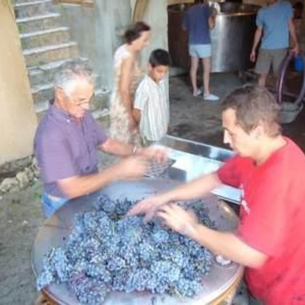 Cuatro Kilos Vinicola - 4 Kilos Vinícola