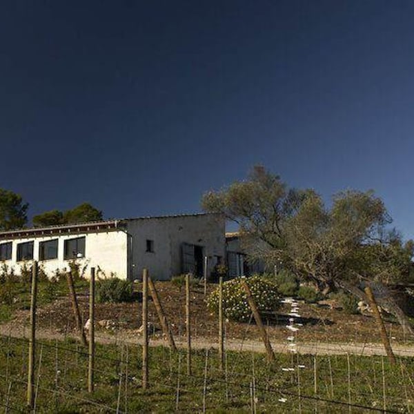 Cuatro Kilos Vinicola - 4 Kilos Vinícola