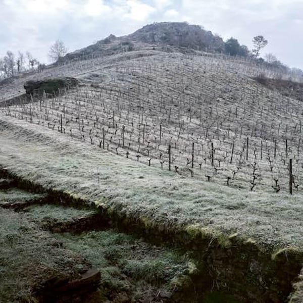 Domaine Belargus - Adrien Moreau & Ivan Massonnat