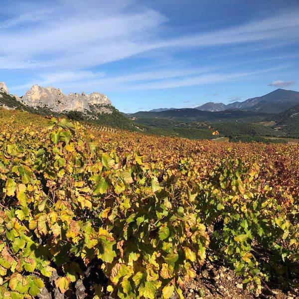 Domaine D’Ourea - Adrien Roustan