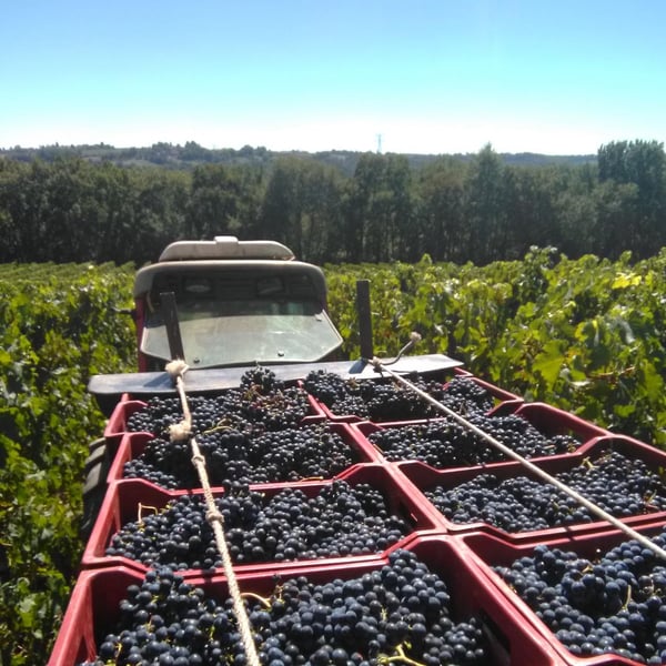 Domaine de Quissat - Agathe et Romaric Delouvrié Hardy