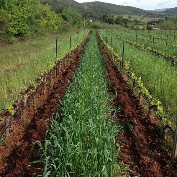 Domaine Terres D'Esclans - Agathe & Fabrice Raymond