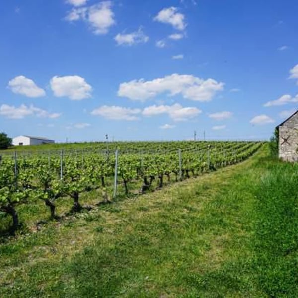 Domaine Amirault - Agnès & Xavier Amirault