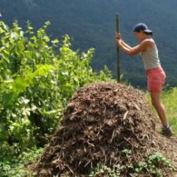 Collectif Terre de Vie - Alain Tuiciel
