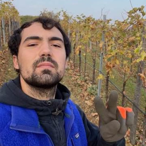 FaeDesfa - Azienda Agricola Fasolo Paolo - Alberto Buratti