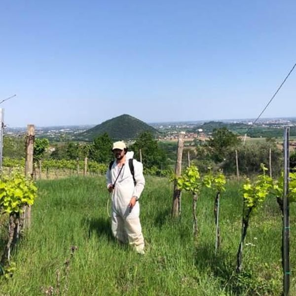 FaeDesfa - Azienda Agricola Fasolo Paolo - Alberto Buratti