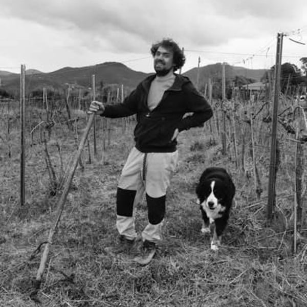 FaeDesfa - Azienda Agricola Fasolo Paolo - Alberto Buratti