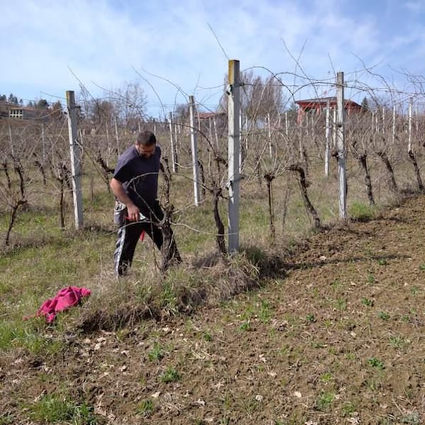L'Upupa Azienda Agricola - Alberto Di Stefano
