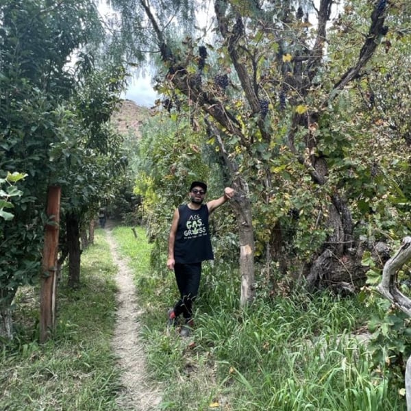 Bitoque Wines - Alejandro Medina