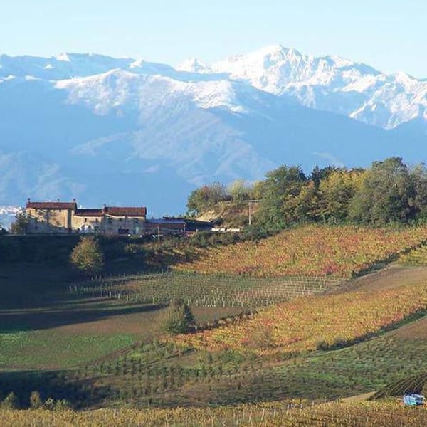 Cascina corte - Alessandro Barosi
