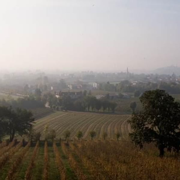 Boschera Winkler | Azienda Agricola Winkler Dott. Alessandro - Alessandro Winkler