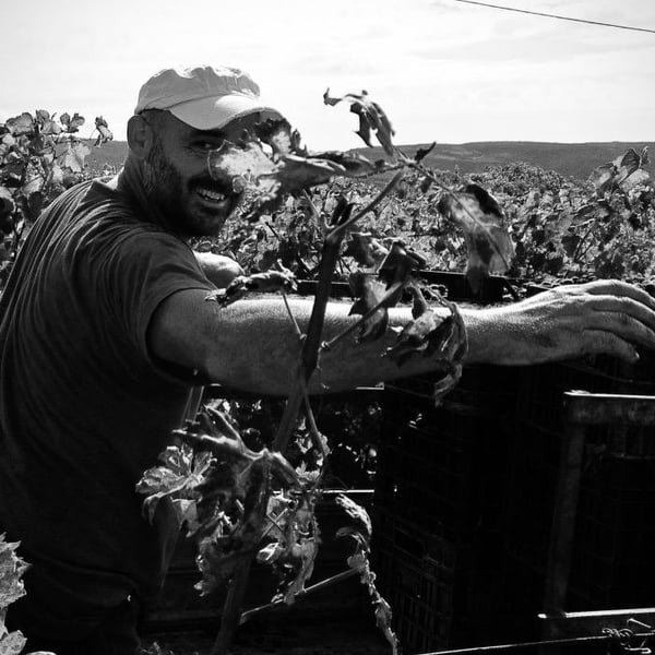 Antichi Vigneti Manca - Alessia e Noemi Manca