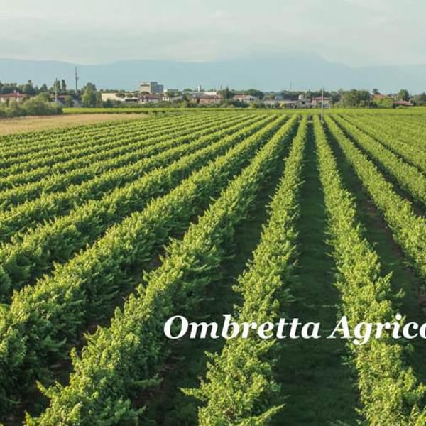 Ombretta Agricola - Alex Della Vecchia