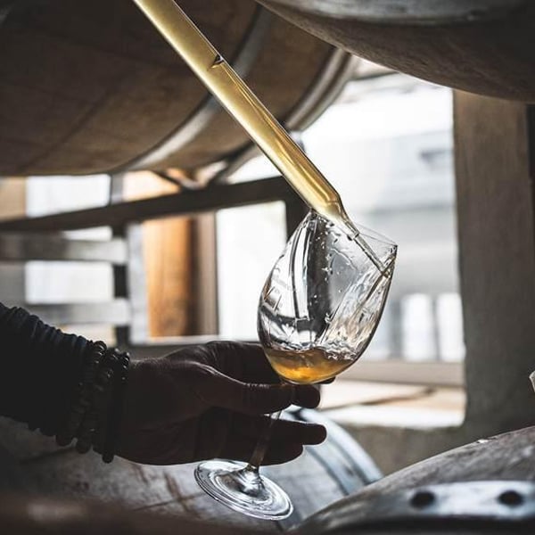 Thorn & Burrow Wines - Alex Thornley