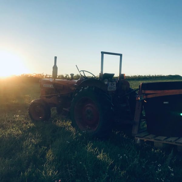 Maria & Alex Koppitsch