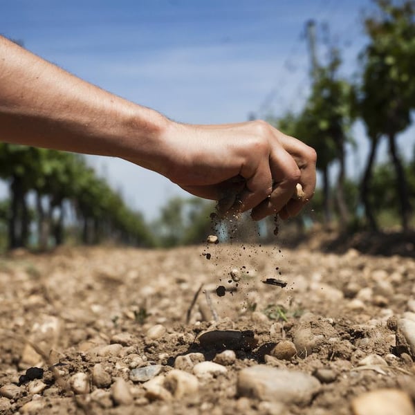 Maria & Alex Koppitsch