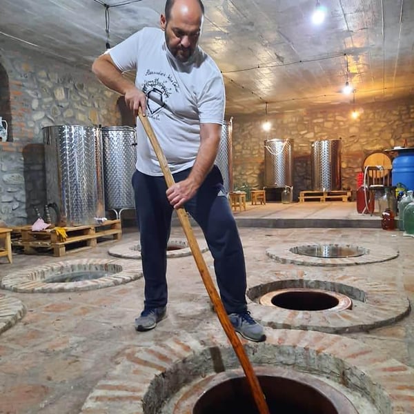 Alexander’s Wine Cellar - Alexander Narimanidze