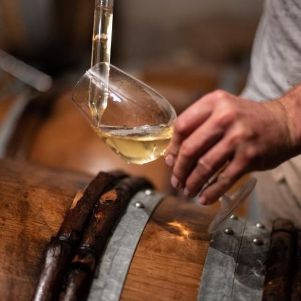 Domaine Alexis de Benoist - Alexis de Benoist