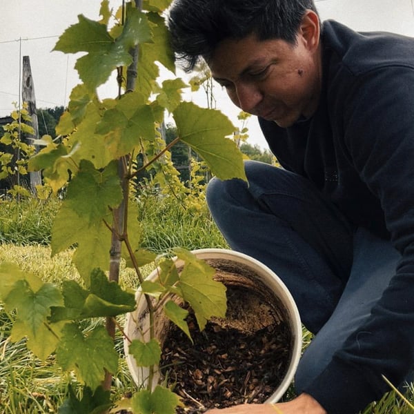 Dear Native Grapes - Alfie Alcántara and Deanna Urciuoli