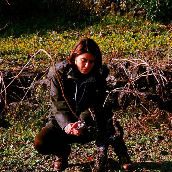 Alice Bonaccorsi