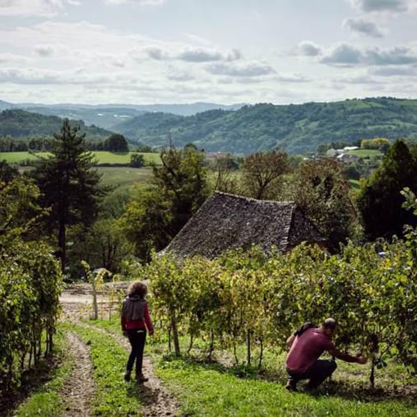 Domaine Le Verdus - Aline Solignac & Philippe Rousseau
