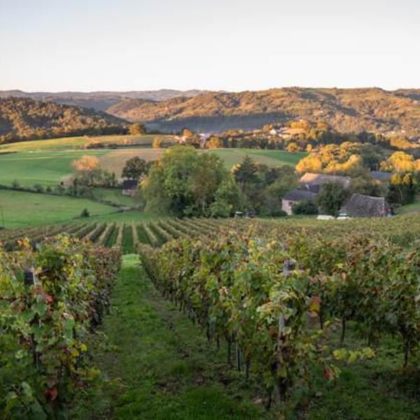 Domaine Le Verdus - Aline Solignac & Philippe Rousseau